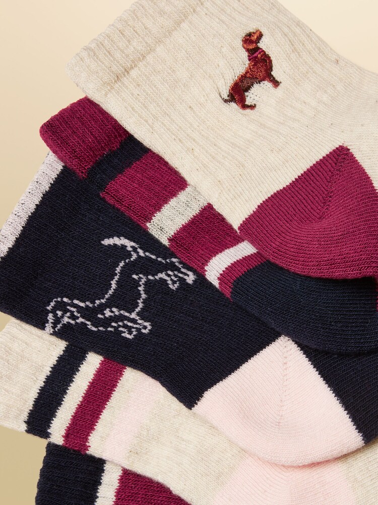 Joules Volley Multi 5 Pack Ankle Socks - Image 2 of 3 Joules Volley Multi 5 Pack Ankle Socks - Image 2 of 3