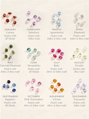 Posh Totty Designs Gold Tone Micro Personalised Birthstone Russian Ring Necklace - Image 3 of 4