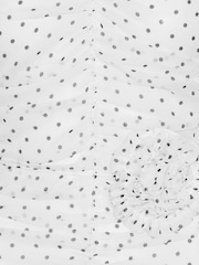 Rotate White Polka Dot Printed Long Sleeve Dress - Image 6 of 6