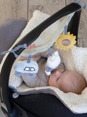 Little Dutch Pink Miffy Car Seat Toy Fluffy - Image 2 of 5