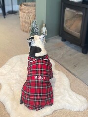 Tartan Dog Pyjamas by RUFF - Image 4 of 5