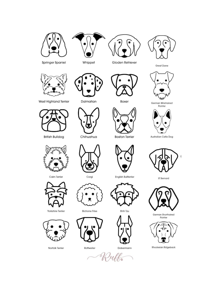 My Dog & Me 100% Cotton T-Shirt by RUFF - Image 2 of 3