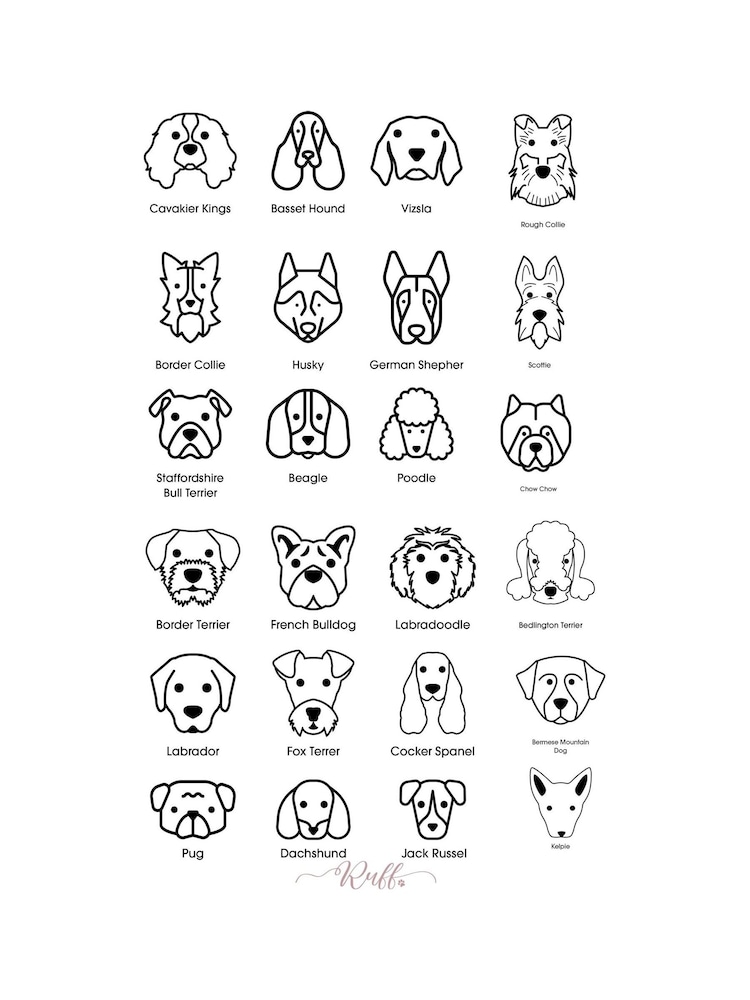 My Dog & Me 100% Cotton T-Shirt by RUFF - Image 3 of 3