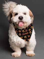 Personalised Pumpkin Patch Dog Bandana by PMC - Image 1 of 3