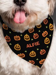 Personalised Pumpkin Patch Dog Bandana by PMC - Image 2 of 3