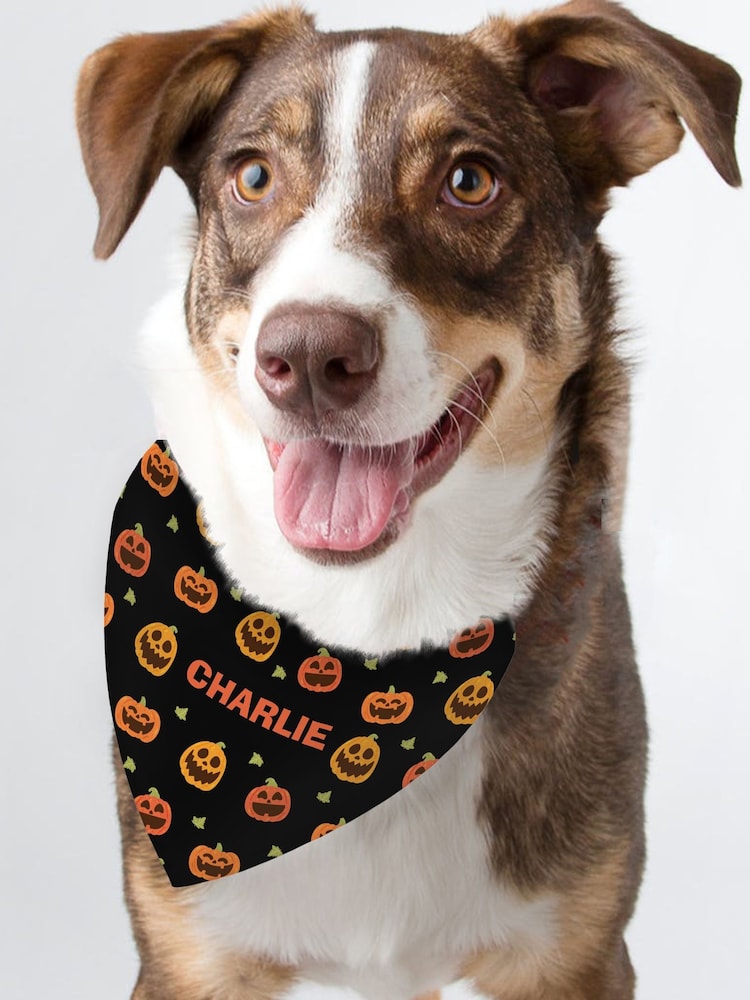 Personalised Pumpkin Patch Dog Bandana by PMC - Image 3 of 3