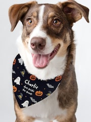 Personalised Halloween Dog Bandana by PMC - Image 1 of 3