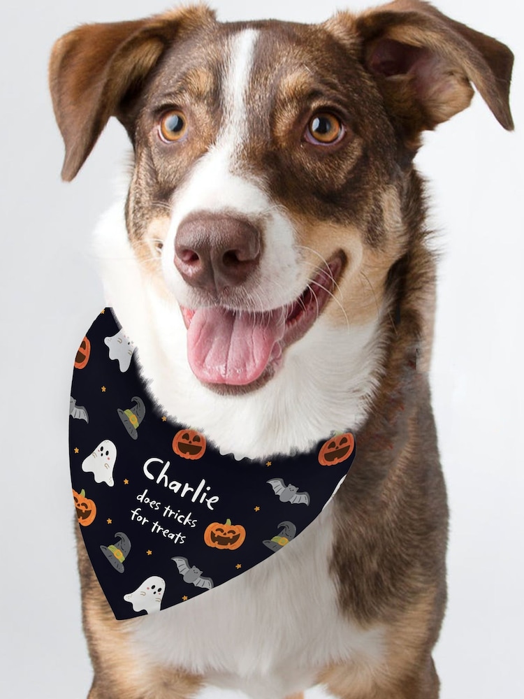 Personalised Halloween Dog Bandana by PMC - Image 1 of 3 Personalised Halloween Dog Bandana by PMC - Image 1 of 3