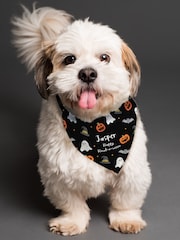 Personalised Halloween Dog Bandana by PMC - Image 3 of 3