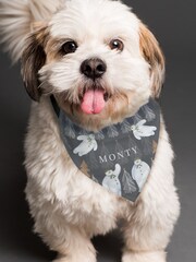 Personalised The Snowman Dog Bandana by PMC - Image 1 of 4