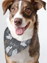 Personalised The Snowman Dog Bandana by PMC - Image 3 of 4