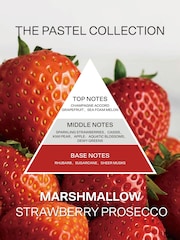 French Connection Pink Pastel Range Strawberry Prosecco Candle 1.5KG - Image 6 of 6