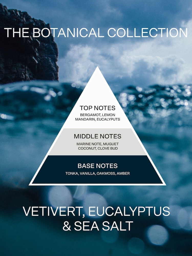 French Connection Botanical Infused Vetivert Eucalyptus Sea Salt Candle 1.5KG - Image 5 of 5