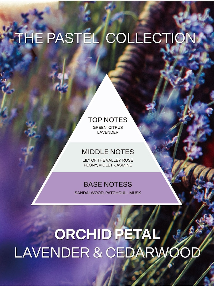 French Connection Lilac Pastel Range Orchid Petal 130G Candle and 100ML Reed Diffuser Gift Set - Image 5 of 5