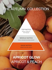 French Connection Square Range Apricot Peach 200G Candle and 100ML Reed Diffuser Gift Set - Image 5 of 5