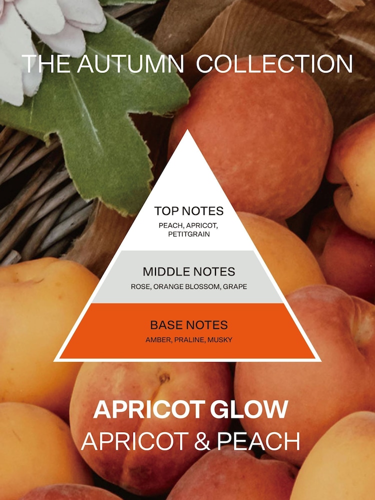 French Connection Square Range Apricot Peach 200G Candle and 100ML Reed Diffuser Gift Set - Image 5 of 5