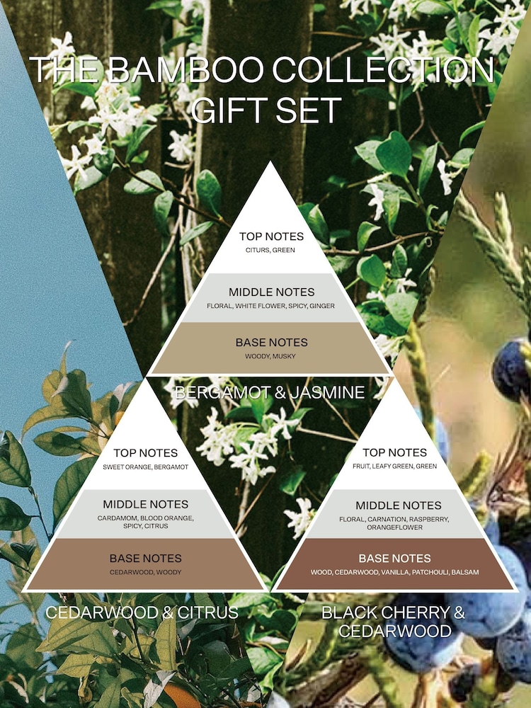 French Connection Natural Mix Woven Detail Trio of Reed Diffuser Gift Set 3 X 50ML - Image 5 of 5 French Connection Natural Mix Woven Detail Trio of Reed Diffuser Gift Set 3 X 50ML - Image 5 of 5