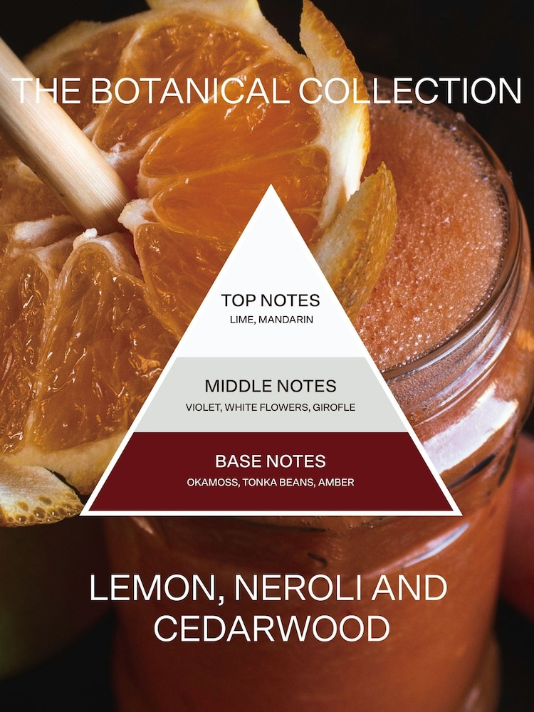 French Connection Botanical Infused Lemon Neroli Cedarwood Candle 1.5KG - Image 6 of 6