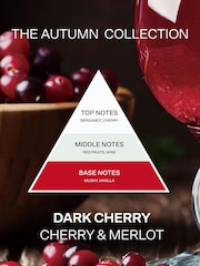 French Connection Red Square Range Cherry Merlot 200G Candle and 100ML Reed Diffuser Gift Set - Image 5 of 5