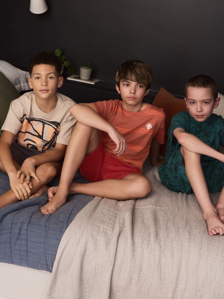 Multi Skulls 100% Cotton Short Pyjamas 3 Pack (3-16yrs) - Image 2 of 11