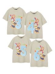 Vanilla Underground Cream Boys Birthday Age Paw Patrol 100% Cotton T-Shirt - Image 1 of 6