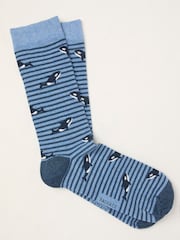 FatFace Blue Killer Whale Socks - Image 1 of 2