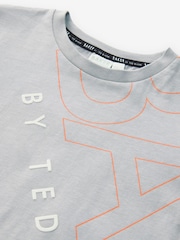 رمادي - تيشرت من القطن 100% بتصميم مزين بطبعة جرافيك من الخلف من Baker by Ted Baker - صورة 3 من 5