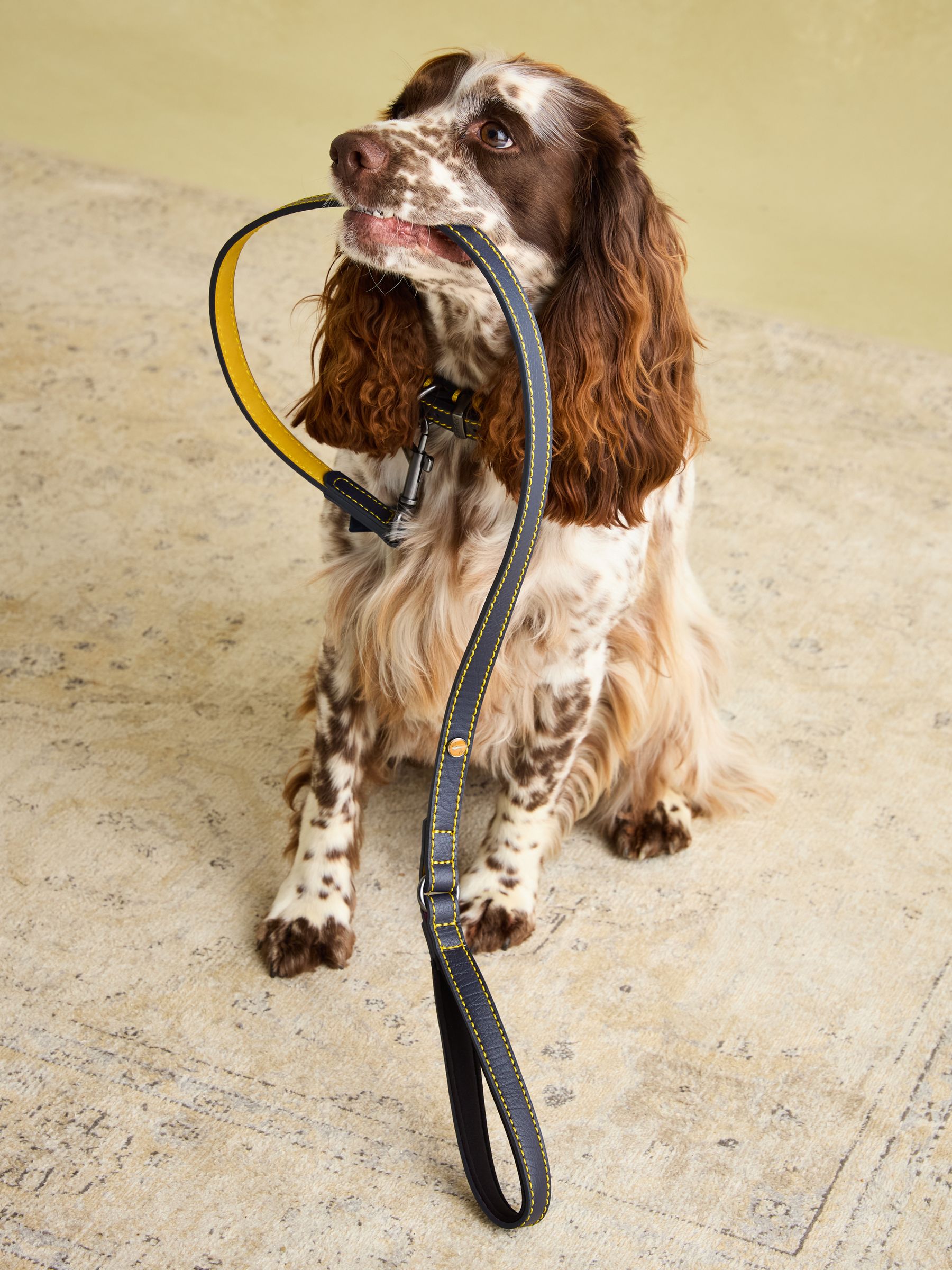 Joules Unisex Navy Leather Dog Lead One