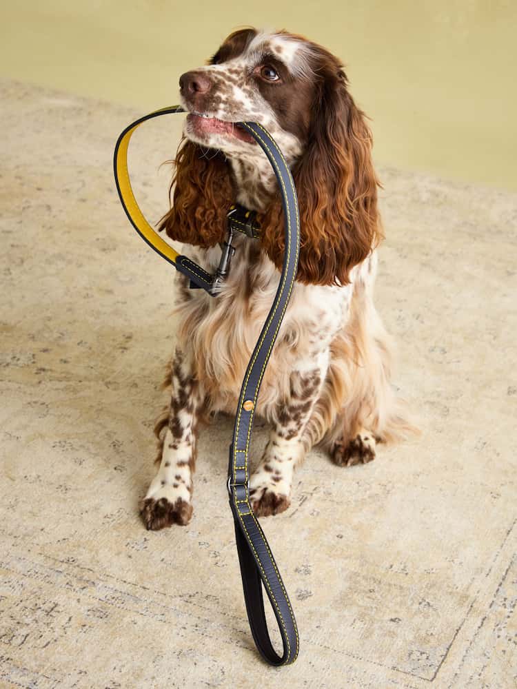 Joules Navy Leather Dog Lead - Image 1 of 5 Joules Navy Leather Dog Lead - Image 1 of 5