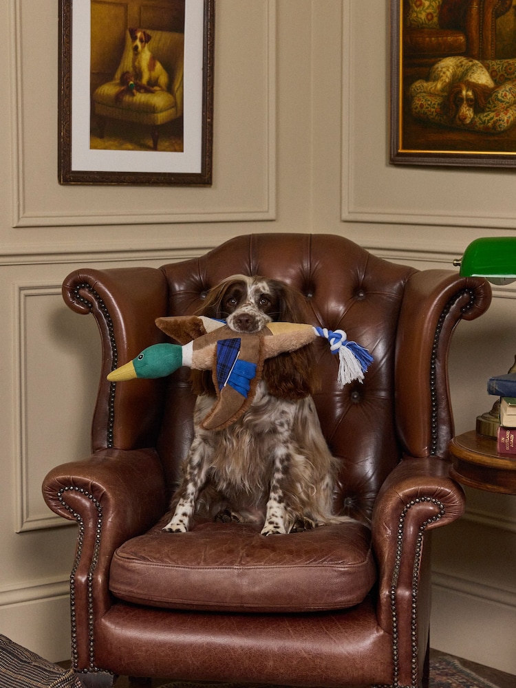 Joules Blue Plush Duck Dog Toy - Image 1 of 7