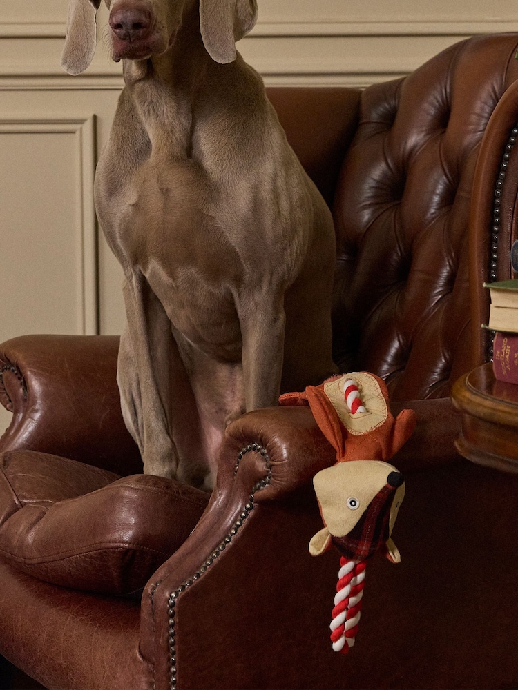 Joules Red Fox Dog Toy - Image 1 of 8 Joules Red Fox Dog Toy - Image 1 of 8