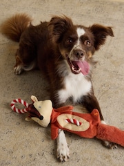 Joules Red Fox Dog Toy - Image 2 of 8