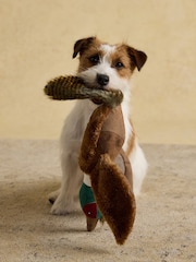 Joules Brown Pheasant Dog Toy - Image 1 of 6