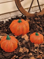 Lights4fun Set of 3 Autumnal Pumpkins With Warm White LED Light - Image 2 of 4