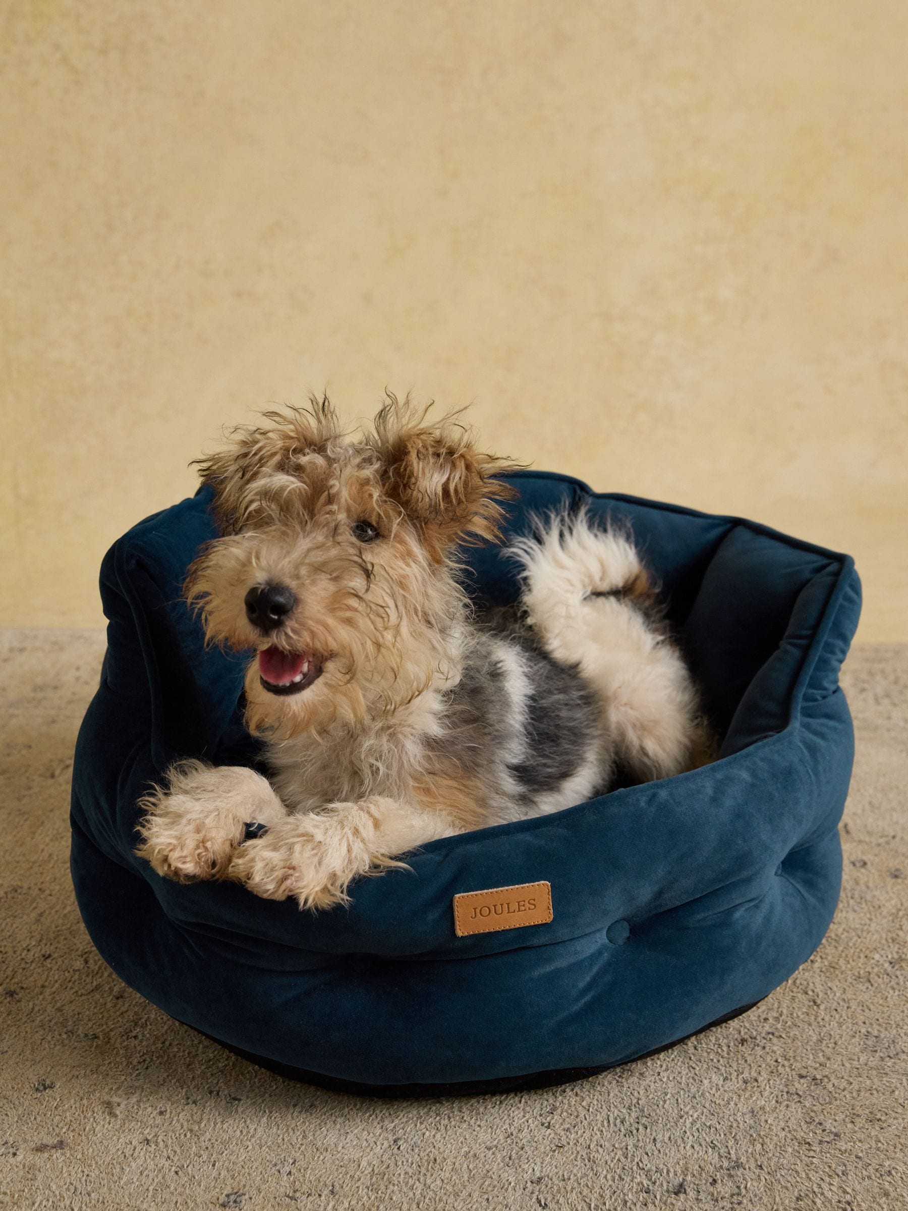 Buy Joules Navy Pet Bed from the Next UK online shop