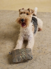 Joules Henson Check Brown Packaway Jacket - Image 6 of 10