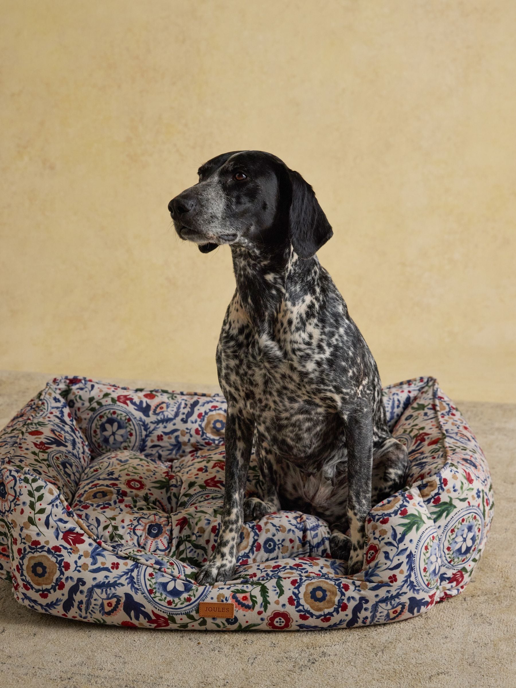 Joules Festival Floral Pet Box Bed