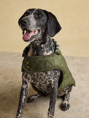 Joules Khaki Green Quilted Dog Coat - Image 5 of 9