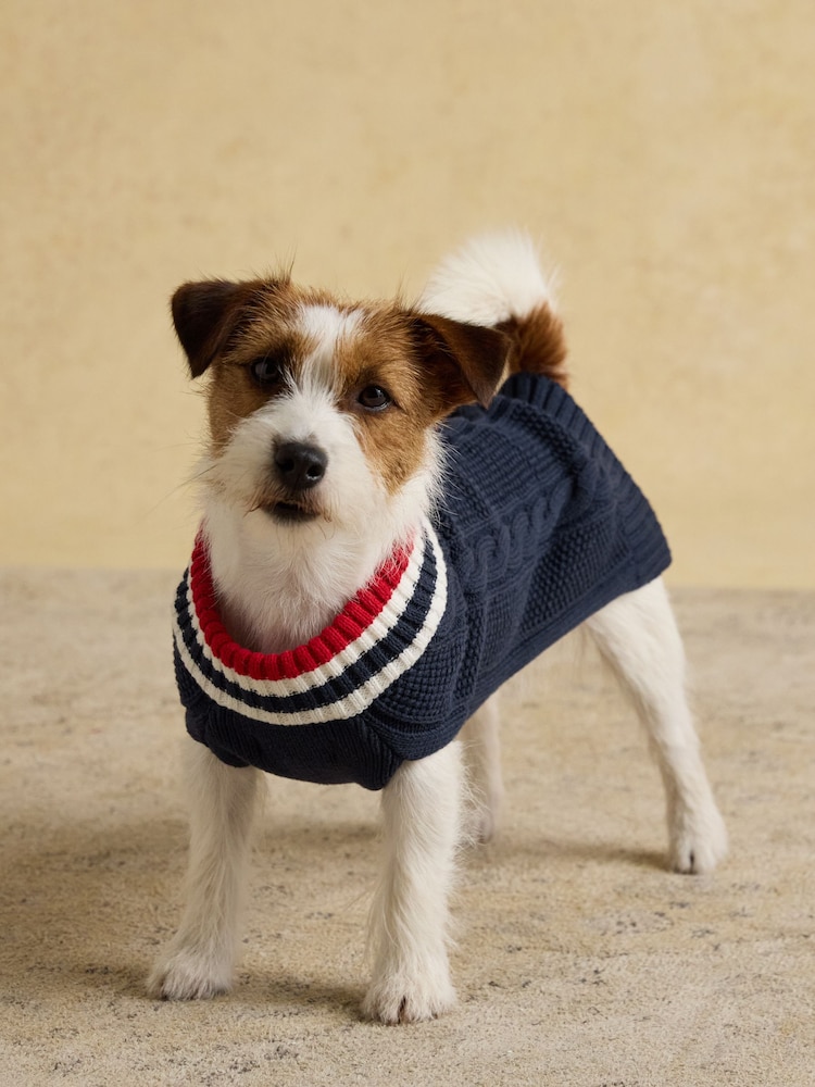 Joules Navy Blue Dog Knit Jumper - Image 1 of 7 Joules Navy Blue Dog Knit Jumper - Image 1 of 7