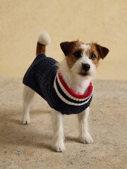 Joules Navy Blue Dog Knit Jumper - Image 4 of 7