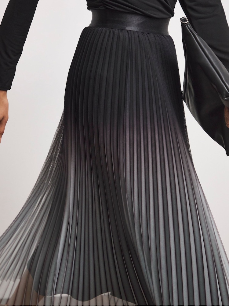 Joanna Hope Blue Mesh Pleated Skirt - Image 4 of 4