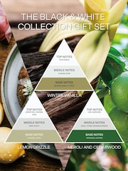 French Connection White Collection Trio of Candles Gift Set 3 X 64G - Image 5 of 5