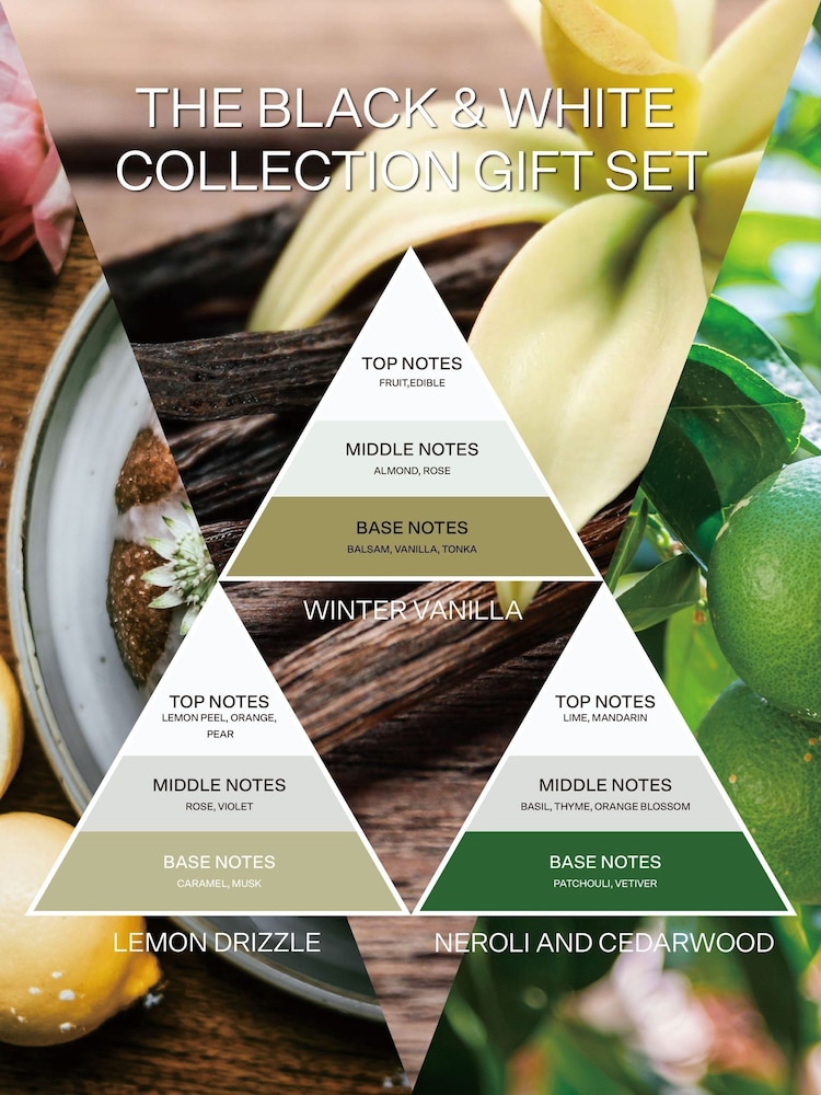 French Connection White Collection Trio of Candles Gift Set 3 X 64G - Image 5 of 5