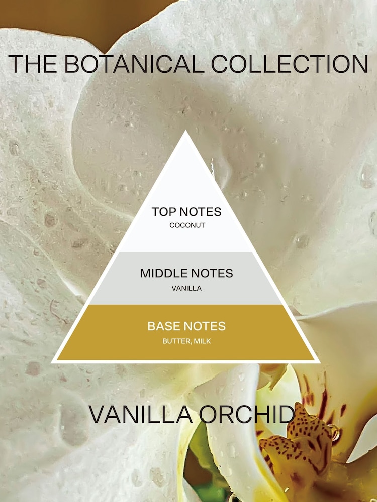French Connection Botanical Infused Vanilla Orchid Candle 660G - Image 5 of 5 French Connection Botanical Infused Vanilla Orchid Candle 660G - Image 5 of 5