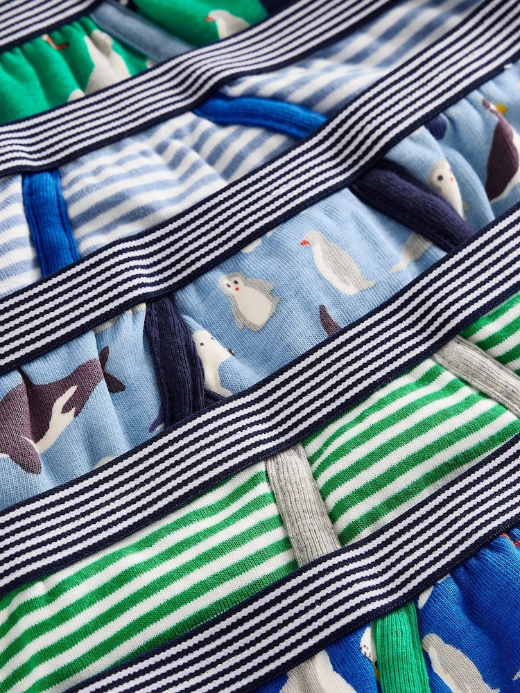 Boden Blue 100% Cotton Briefs 5 Pack - Image 3 of 3 Boden Blue 100% Cotton Briefs 5 Pack - Image 3 of 3