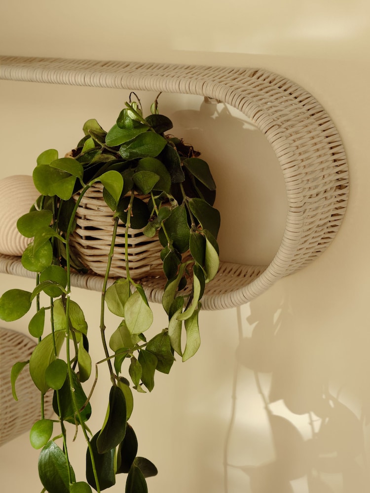 Natural Woven Set of 3 Wall Shelves - Image 2 of 4