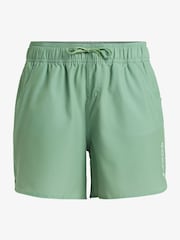 Roxy Green Wave 5 Inch Mid Logo Board Shorts - Image 4 of 4