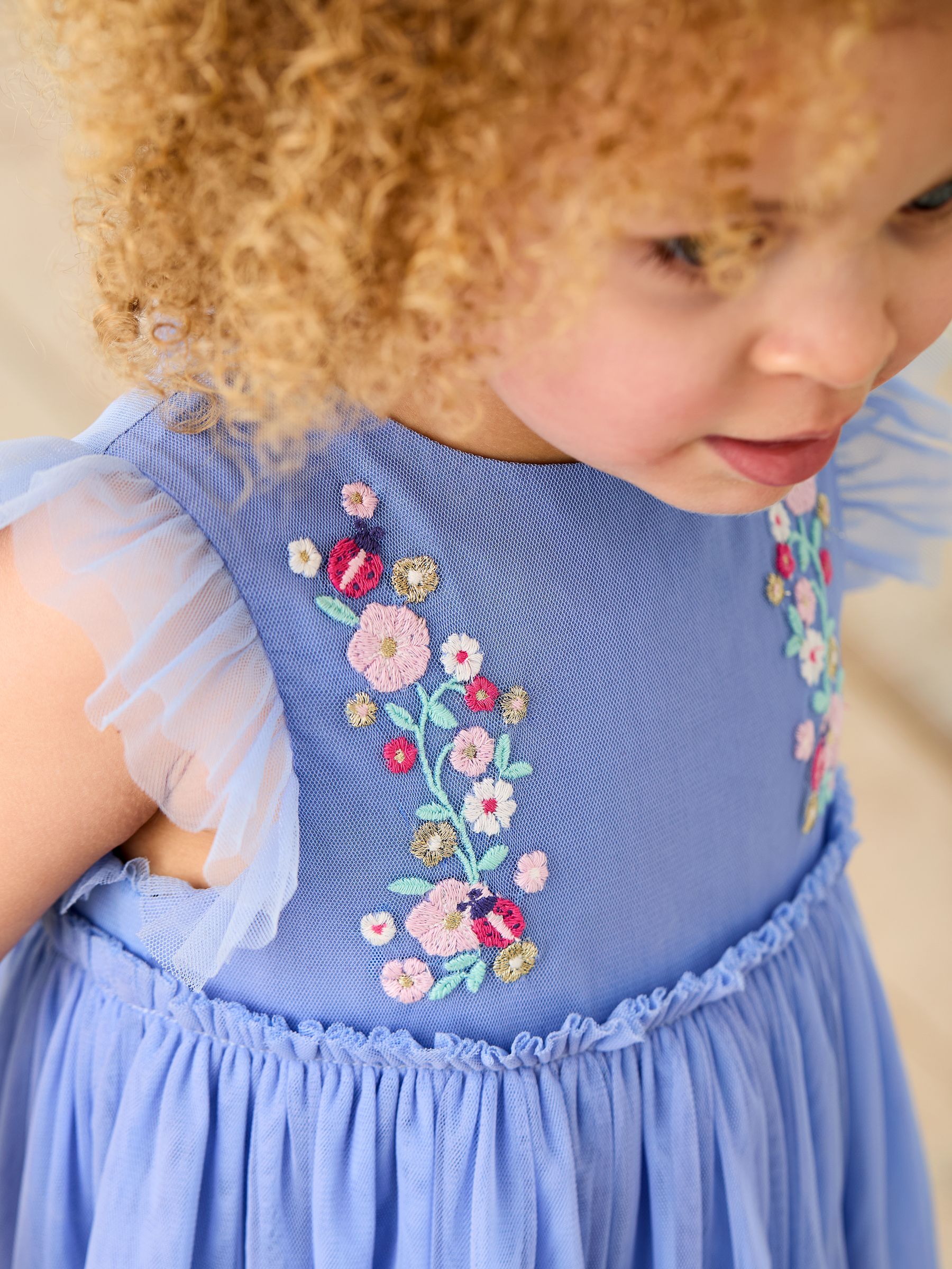 Buy JoJo Maman Bébé Blue Ladybird Floral Frill Embroidered Tulle