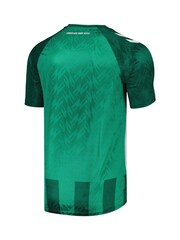 Hummel Green Werder Bremen Home Shirt 2024-25 - Image 2 of 3
