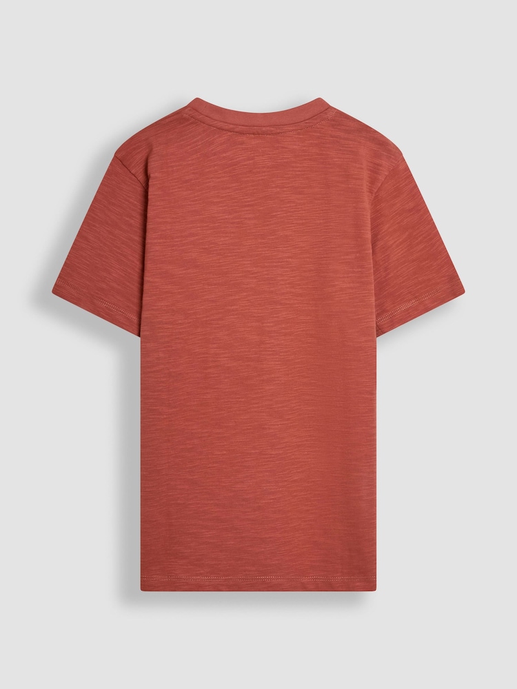 JoJo Maman Bébé Rust Dino Graphic Print T-Shirt - Image 3 of 3